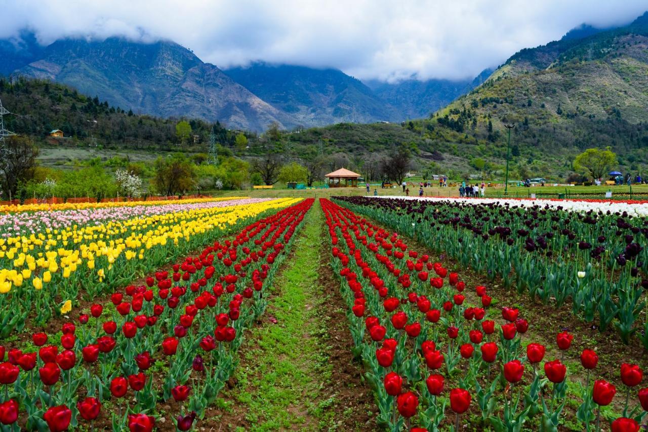 The Lalit Grand Palace Srinagar Luaran gambar