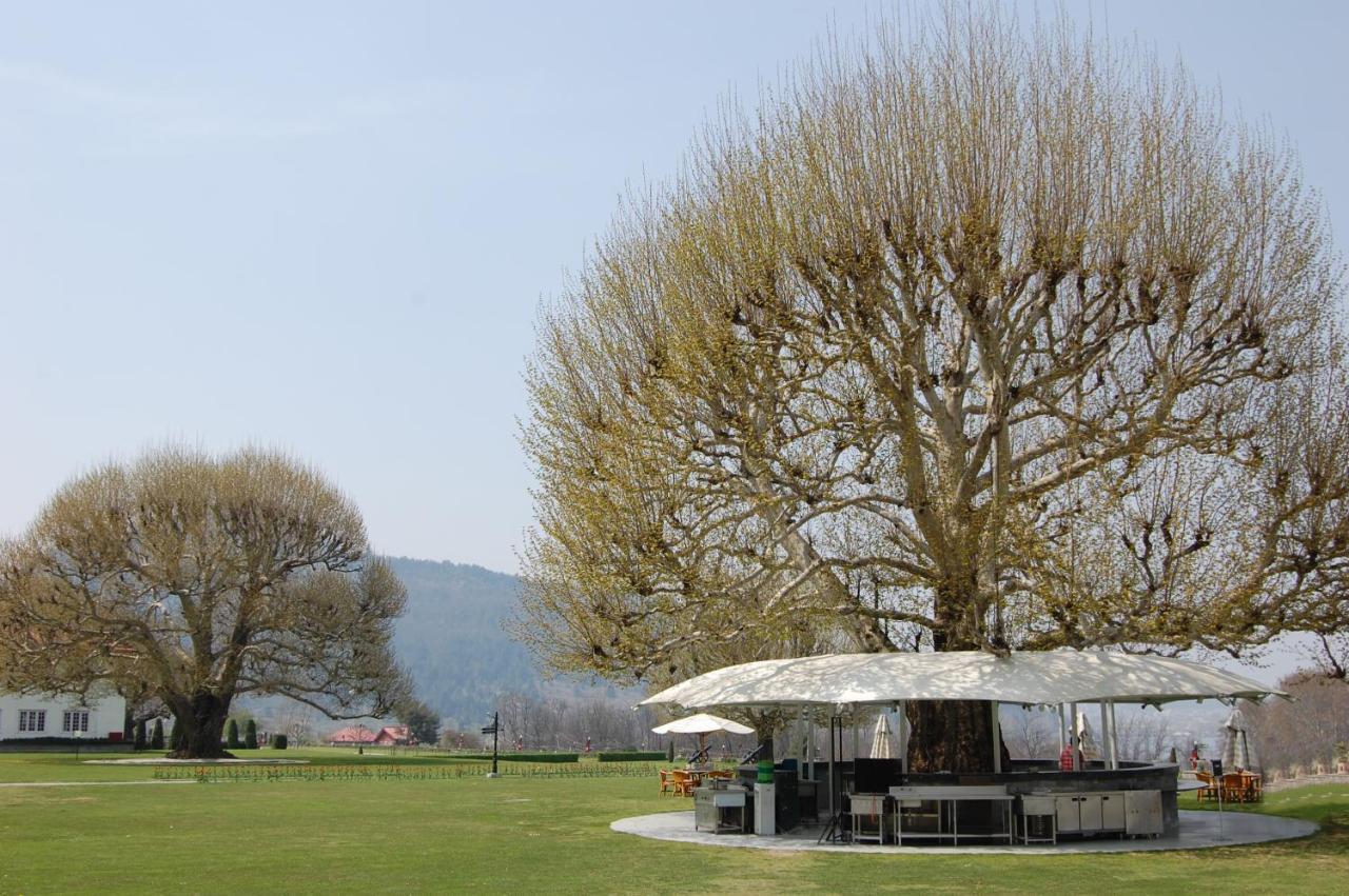 The Lalit Grand Palace Srinagar Luaran gambar